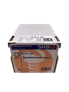 SHB-Tellerkopschroeven-verzinkt-6x40-mm-Torx-30-100st