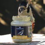 101770813-erdnussbutter-gartenvoegel-glas-nussstueckchen-330g