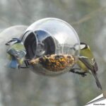7340030-birdfeeder-raamvoederbol-design-voederhuisje-born-in-sweden-003