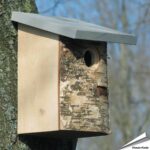905869110-nestkast-voor-mezen-berkenhout-32mm