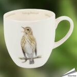 979320619-tasse-singdrossel-motiv-porzellan-free