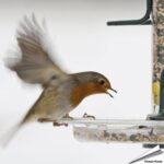 BigEasy_E2_84_A2_opvangschaal_28278mm_29-1