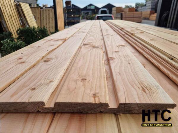 Douglas-Channelsiding-20×105-mm-1