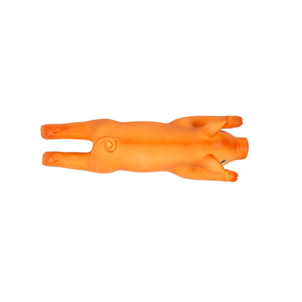 Latex-Piepend-Varken