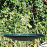 acs-mchvb-aniculis-multichoice-vogelbad-hangend
