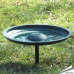 acs-mchvb-aniculis-multichoice-vogelbad-op-paaltje_003