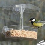 acs-rvho-fensterfutterhaus-onlooker-wildvoegel_002