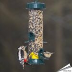 be-s2g-bigeasy-voedersilo-zaden-groen-400mm_002_1_