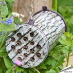 btin-the-pollinating-company-bijenhuis_002