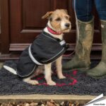 db16107-microvezel-mat-clean-dry-honden-800x550mm_1__1_1