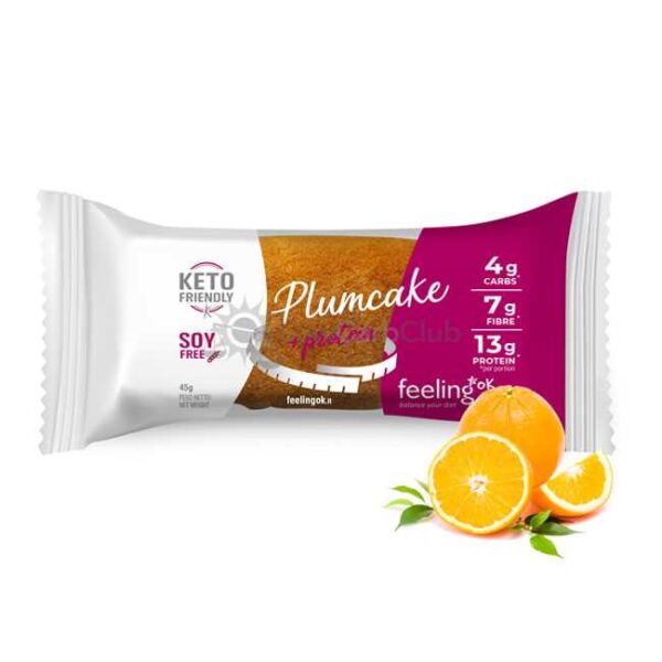 feelingok-plumcake-sinaasappel-lowcarbclub