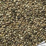hpz-hanfsamen-hennepzaad-hemp-vogelfutter_detail_1
