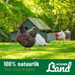 huehner-land-extra-blije-kippen-014_1