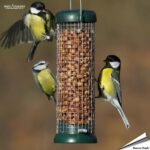 nbl-gp1_futtersaeule_erdnuesse_bird_lovers_gruen_220mm_1_1_