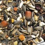 pev-premium-eekhoorn-voer-puur-plantaardig_detail_4