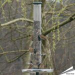 rp-s3g-ring-pull-voedersilo-zaden-groen-580mm_002
