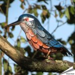 s0663-decor-bird-ijsvogel-metaal