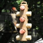 spf01-energierollen-halter-fettrollen-futtersystem-voegel_1