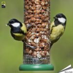 to-p2g_voedersilo_pindas_the_one_plastic_groen_320mm_002