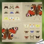 tp315-servetten-vlinders_free2_1_