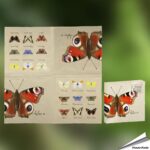 tp315-servetten-vlinders_free_1_