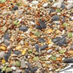 tvpvm-tarve-vrij-premium-vogelvoeder-mix_detail_4