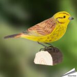 wg419-geelgors-goldammer-yellowhammer_free