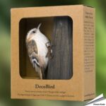 wg4443-decobird-boomkruiper-waldbaumlaeufer-treecreeper_packing_1