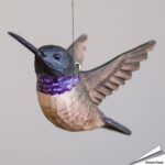 wg4672-decobird-zwartkinkolibrie-wildlife-garden