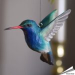 wg4674-decobird-breitschnabelkolibri-wildlife-garden-002