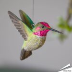 wg4675-decobird-anna-kolibri