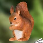 wg5942-decoanimal-rode-eekhoorn-free