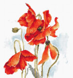 image1
