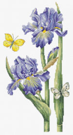 image1