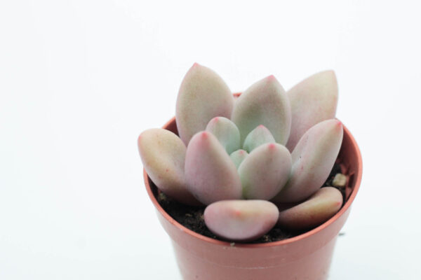 b4bf27dbd7d80873956246115460dae54fd958e6
