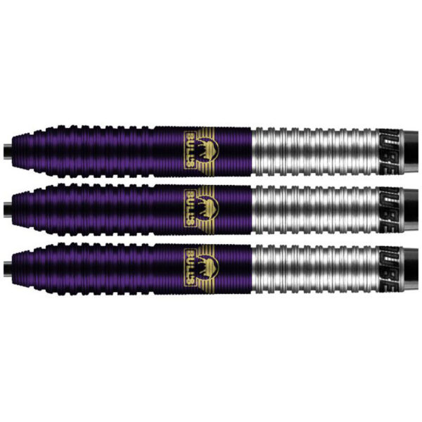 bulls-dirk-van-duijvenbode-aubergenius-dartpijlen-dartshop-zaanstad