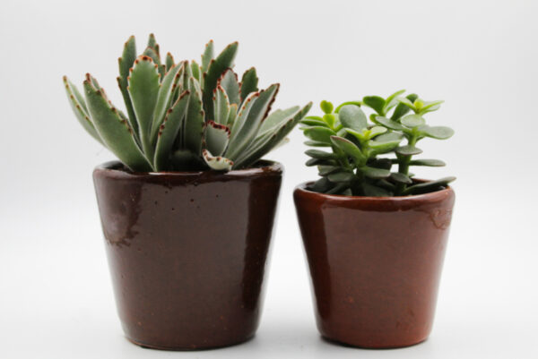f459f36b037f7ff39ddec161add227be0bb88e00