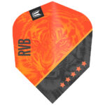 target-raymond-van-barneveld-pro-ultra-ten-x-flight-dartshop-zaanstad