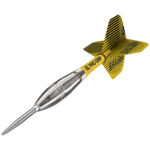 target-scott-williams-swiss-dartpijlen-dynamic-dartshop-zaanstad