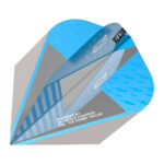 target-the-power-series-80-flight-silver-std-06-dynamic-dartshop-zaanstad