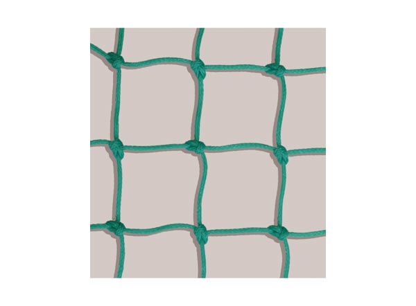 50509