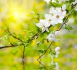 mami-milano-aria-primavera