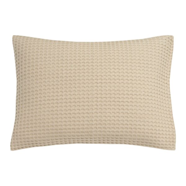 homepique_180latte_40x55_ipad