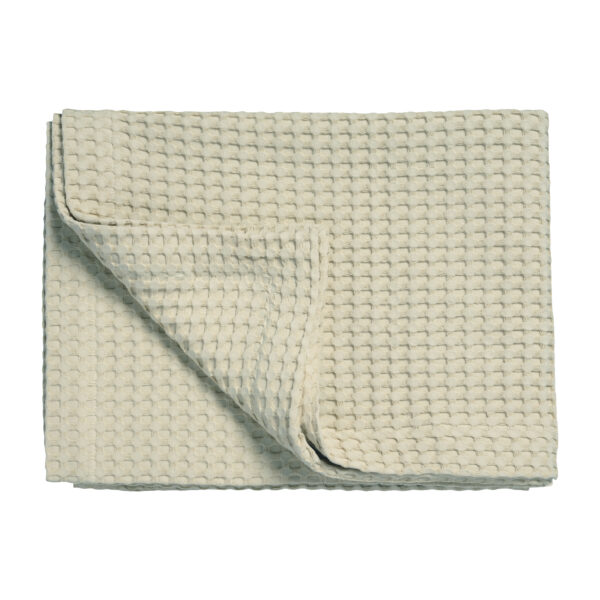 homepique_189creamtan_plaid_ipad_2