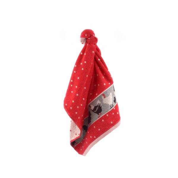 keukendoek-chickens-rood-bunzlau-castle-1