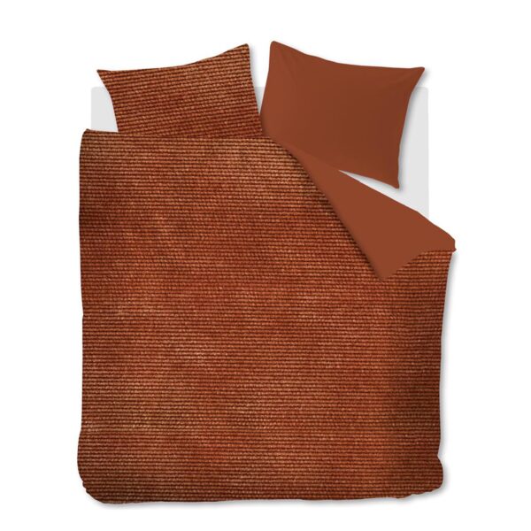 topshot_cosy_terra_1